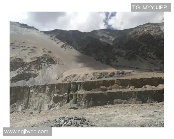 深度对话：探索张娜在和平精英中的成长与挑战之路